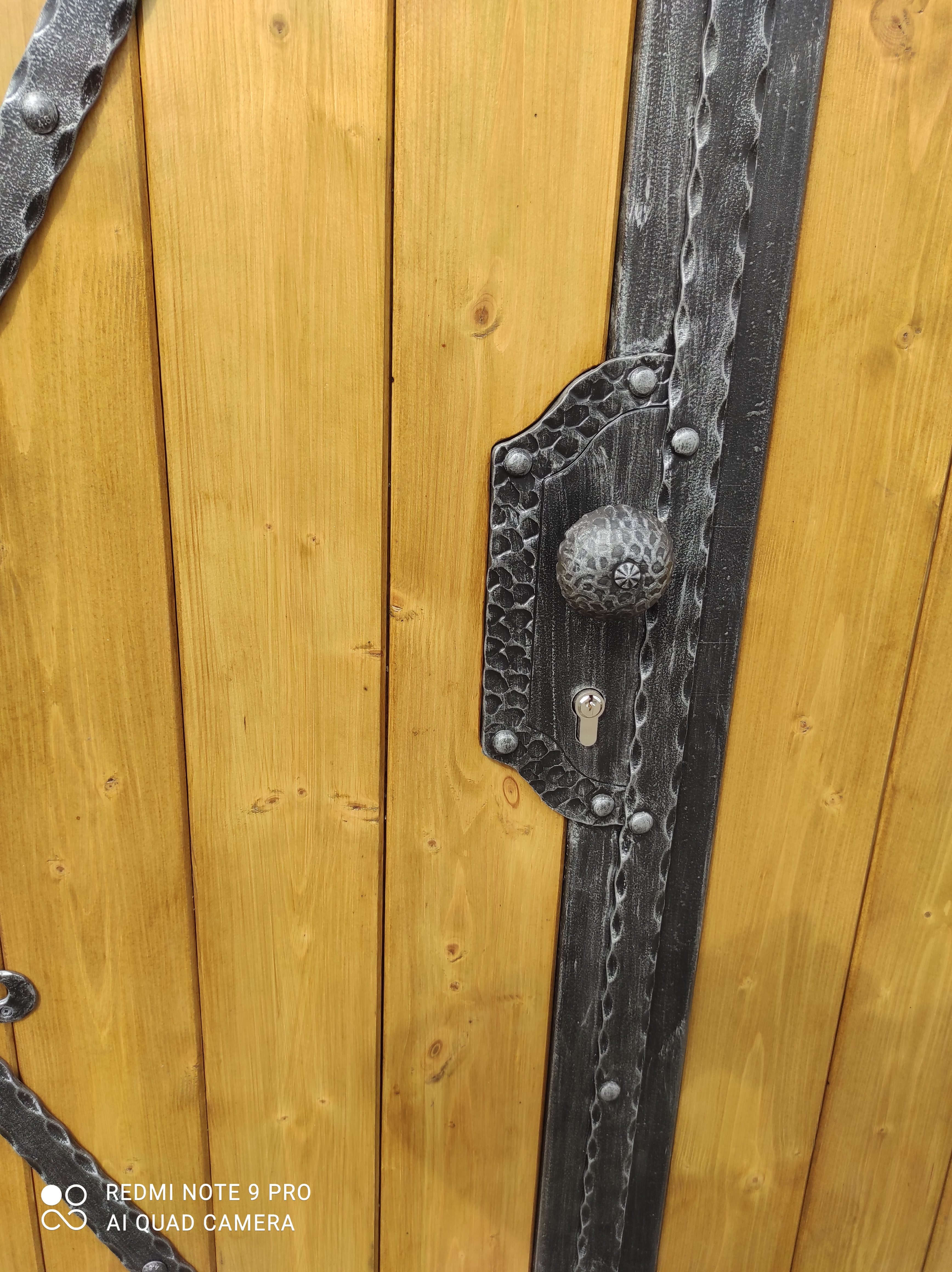 Detail patinovaného štítu zámku a zdobené kovové koule na dřevěné výplni brány ve Vraném.